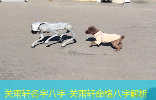  关雨轩名字八字-关雨轩命格八字解析