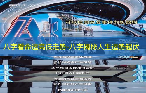  八字看命运高低走势-八字揭秘人生运势起伏