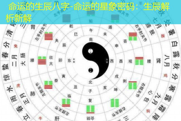  命运的生辰八字-命运的星象密码：生辰解析新解