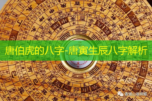  唐伯虎的八字-唐寅生辰八字解析