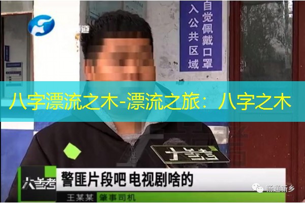  八字漂流之木-漂流之旅：八字之木