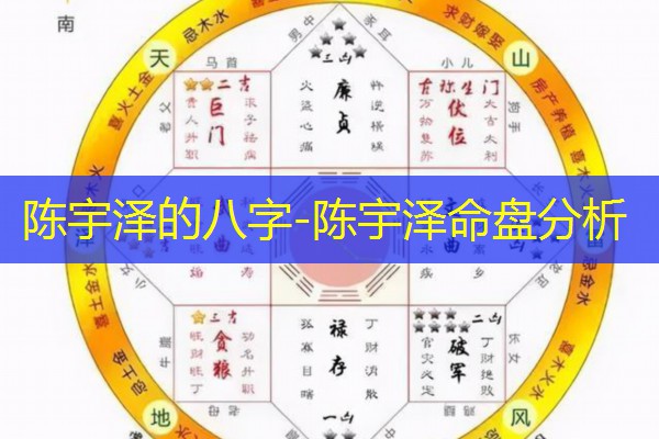  陈宇泽的八字-陈宇泽命盘分析