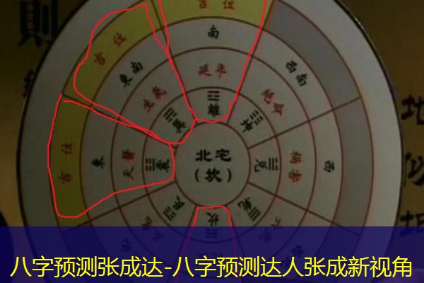  八字预测张成达-八字预测达人张成新视角