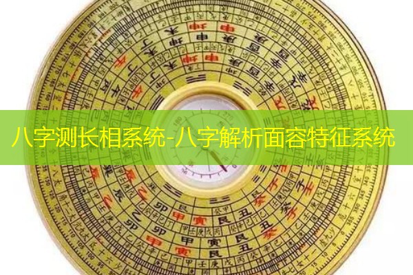  八字测长相系统-八字解析面容特征系统