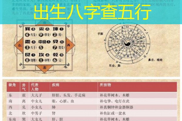  出生八字查五行