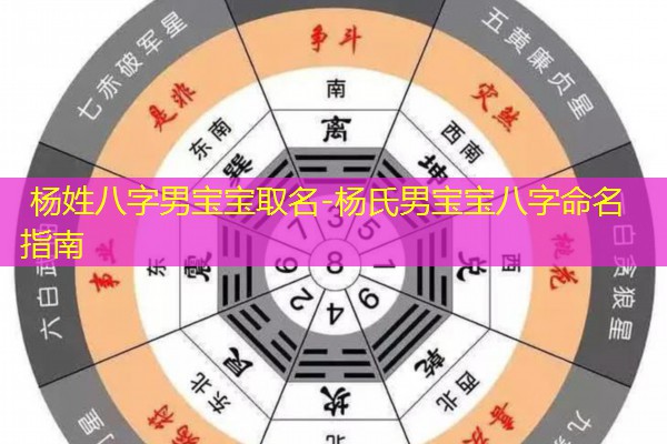  杨姓八字男宝宝取名-杨氏男宝宝八字命名指南