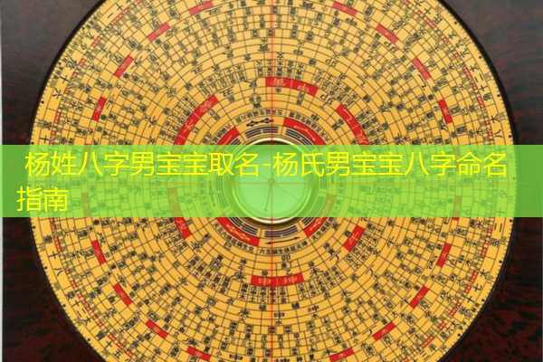  杨姓八字男宝宝取名-杨氏男宝宝八字命名指南