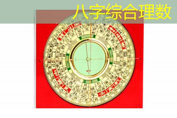  八字综合理数
