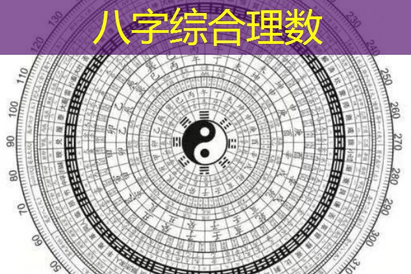  八字综合理数