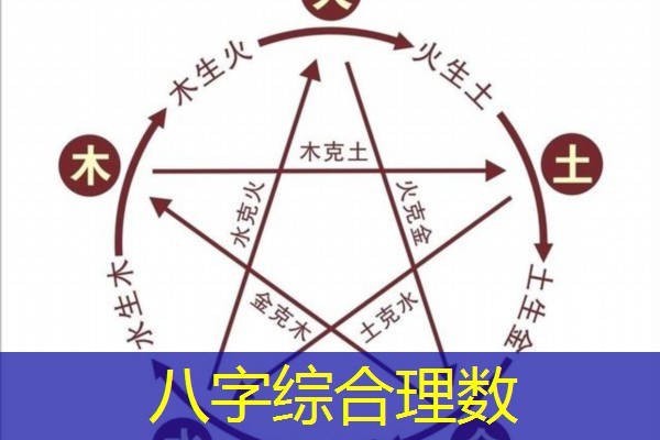  八字综合理数