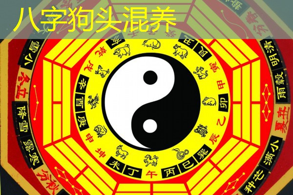  八字狗头混养