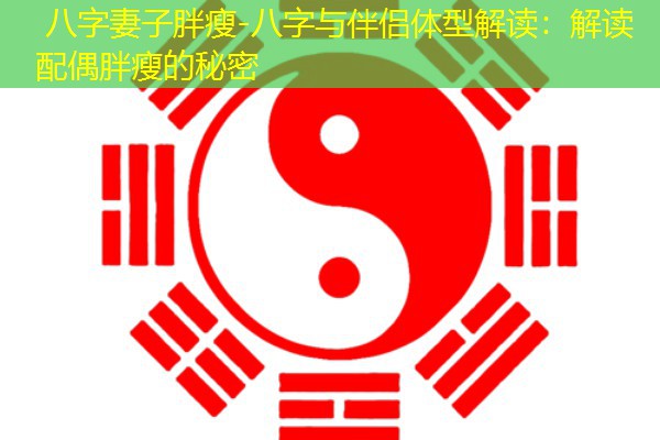  八字妻子胖瘦-八字与伴侣体型解读：解读配偶胖瘦的秘密