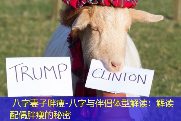  八字妻子胖瘦-八字与伴侣体型解读：解读配偶胖瘦的秘密