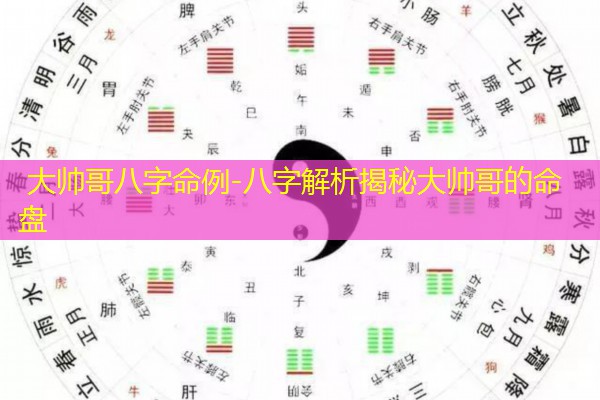  大帅哥八字命例-八字解析揭秘大帅哥的命盘
