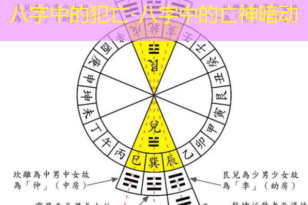  八字中的犯亡-八字中的亡神暗动