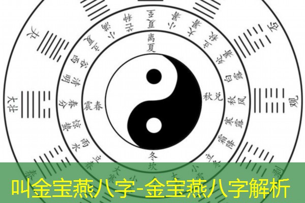  叫金宝燕八字-金宝燕八字解析