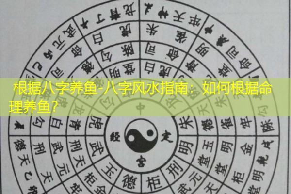  根据八字养鱼-八字风水指南：如何根据命理养鱼？