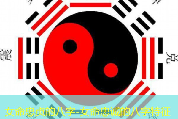  女命忠贞的八字-女命忠诚的八字特征