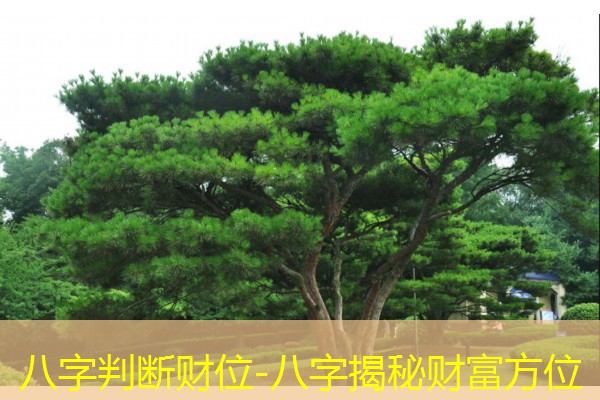  八字判断财位-八字揭秘财富方位