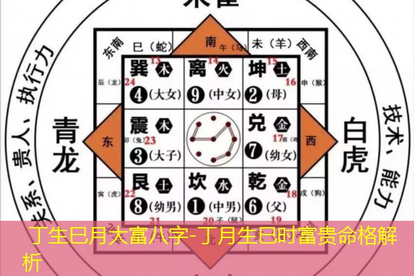  丁生巳月大富八字-丁月生巳时富贵命格解析