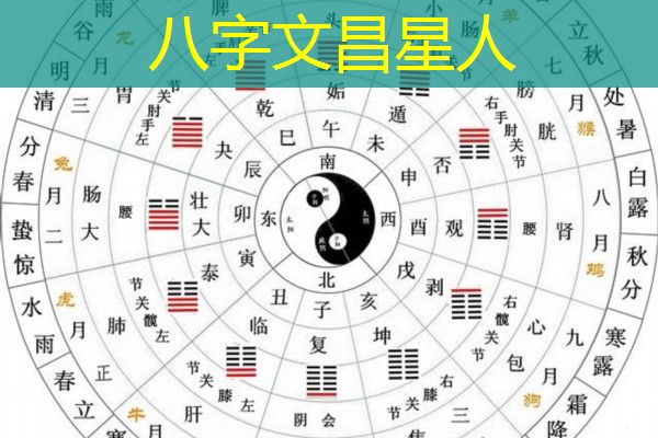  八字文昌星人