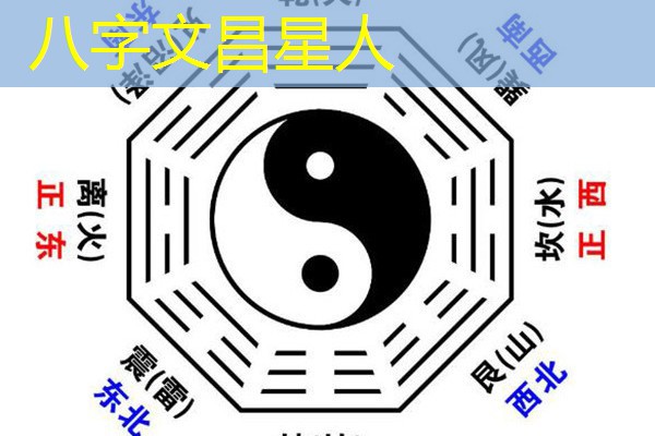  八字文昌星人