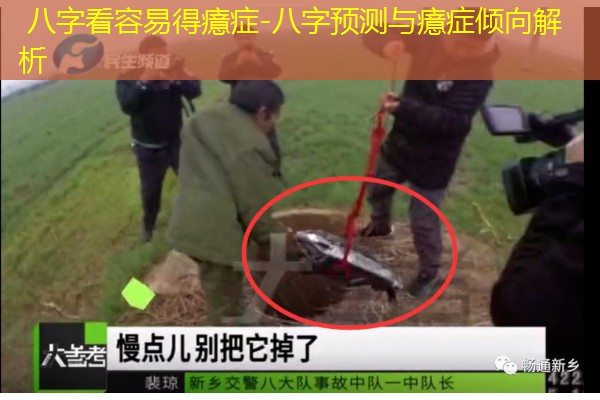  八字看容易得癔症-八字预测与癔症倾向解析