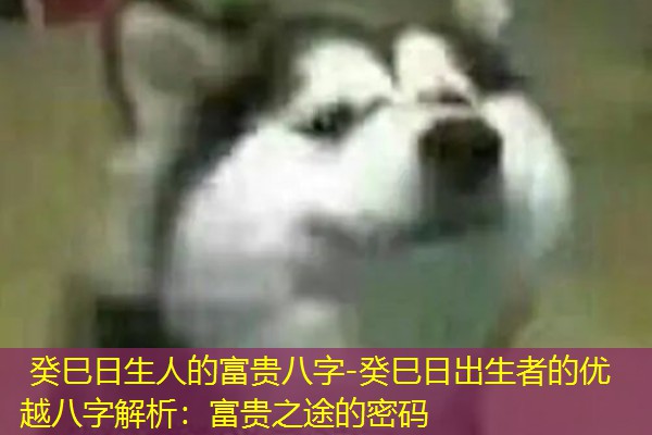  癸巳日生人的富贵八字-癸巳日出生者的优越八字解析：富贵之途的密码