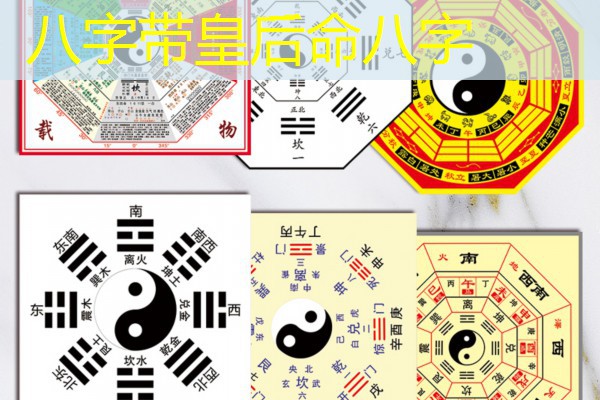  八字带皇后命八字