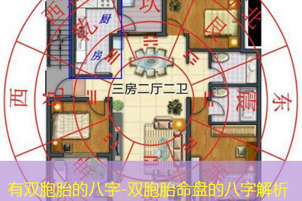  有双胞胎的八字-双胞胎命盘的八字解析