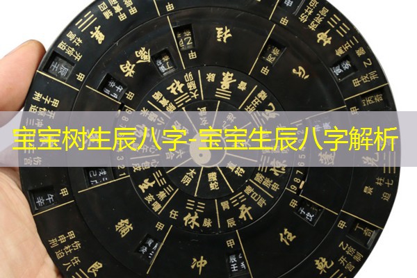  宝宝树生辰八字-宝宝生辰八字解析