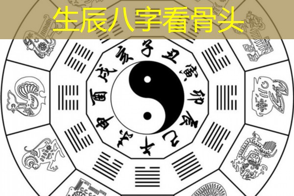  生辰八字看骨头