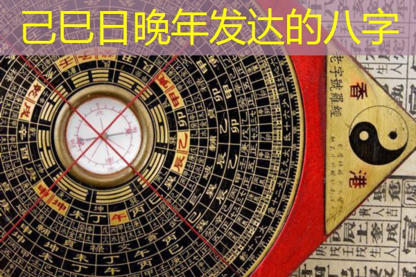  己巳日晚年发达的八字