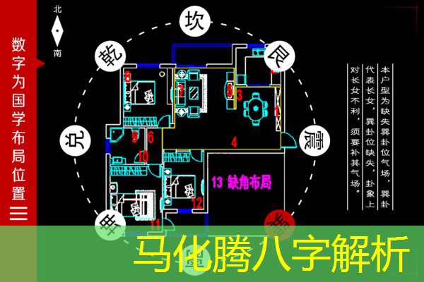  马化腾八字解析