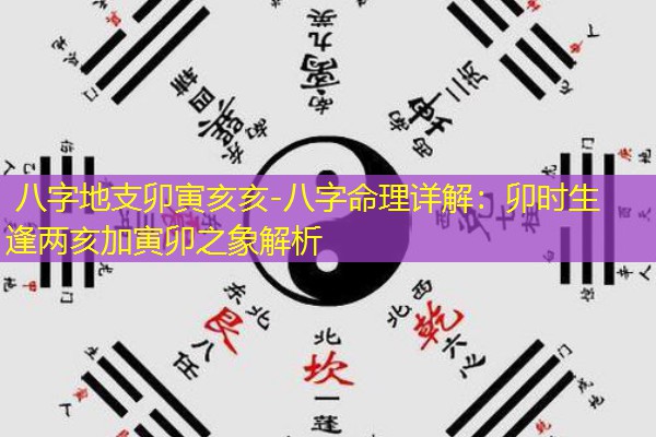  八字地支卯寅亥亥-八字命理详解：卯时生逢两亥加寅卯之象解析