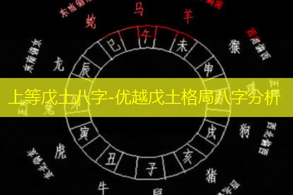  上等戊土八字-优越戊土格局八字分析