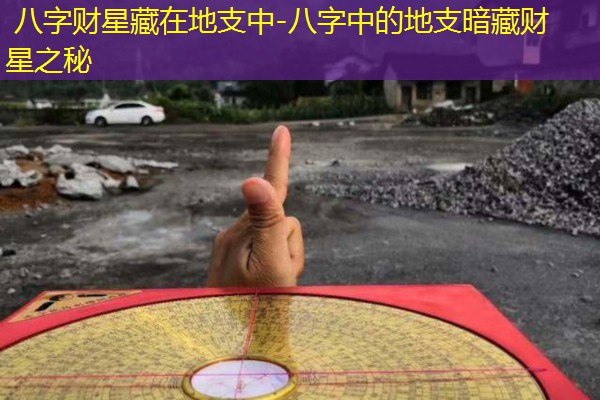  八字财星藏在地支中-八字中的地支暗藏财星之秘