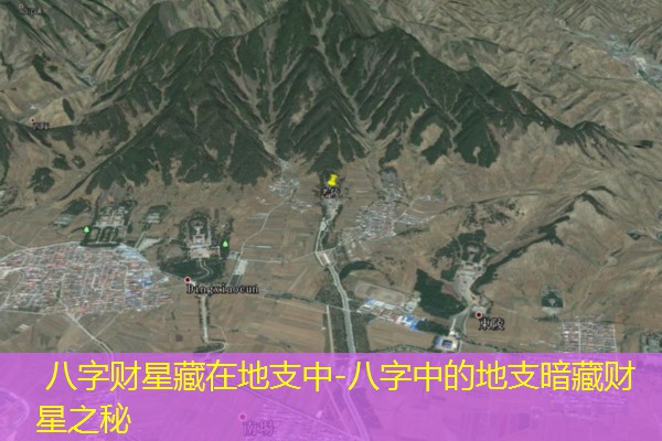  八字财星藏在地支中-八字中的地支暗藏财星之秘