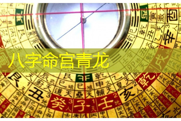  八字命宫青龙