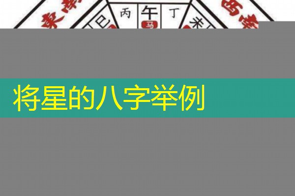  将星的八字举例