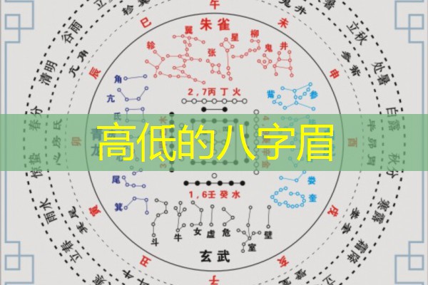  高低的八字眉