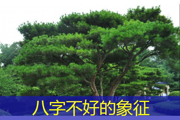  八字不好的象征