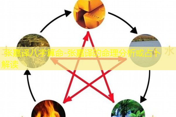  张嘉译八字算命-张嘉译的命理分析或占卜解读