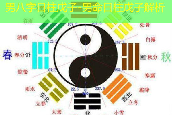  男八字日柱戊子-男命日柱戊子解析