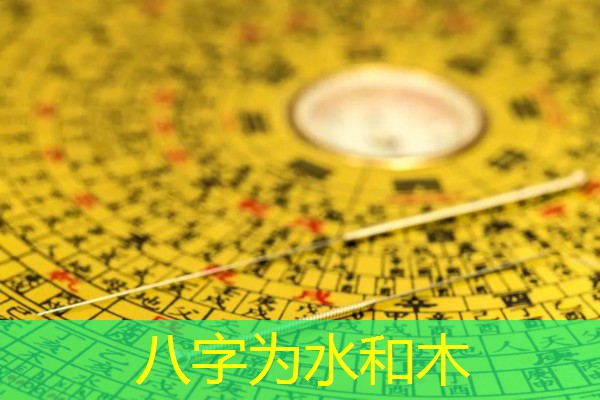  八字为水和木