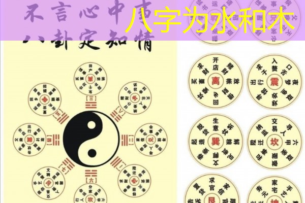  八字为水和木
