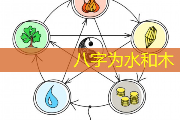  八字为水和木