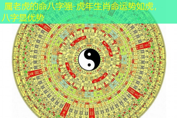  属老虎的命八字强-虎年生肖命运势如虎，八字显优势