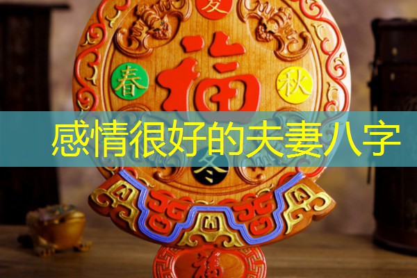  感情很好的夫妻八字