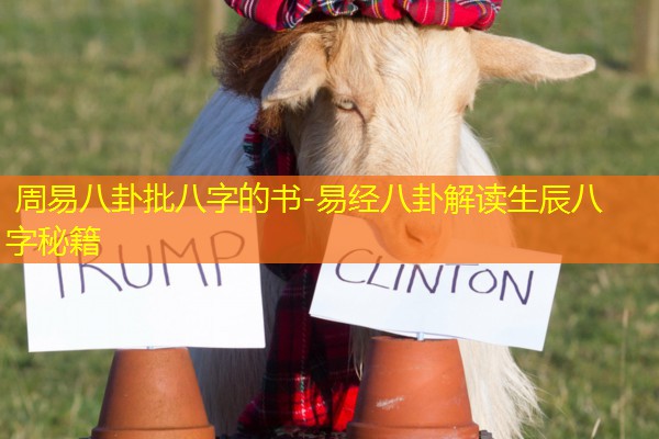  周易八卦批八字的书-易经八卦解读生辰八字秘籍